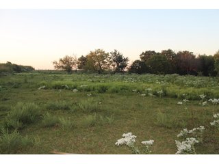 Tract 5 - Stillwater, OK farmland - EXCITING LAND AUCTION! - 128 +/- ACRES OFFERED IN 7 TRACTS OFF HIGHWAY 51 IN STILLWATER, OKLAHOMA